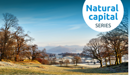 Scotland (South) – Natural capital: Leveraging environmental assets on farm
